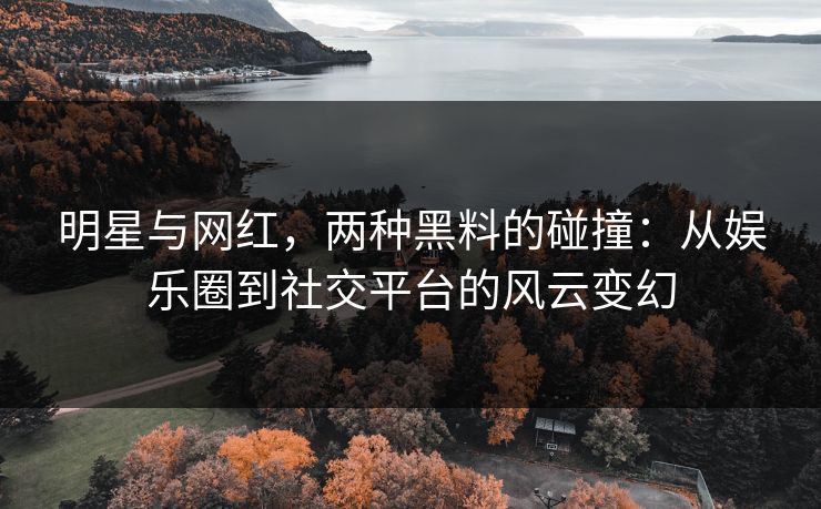 明星与网红，两种黑料的碰撞：从娱乐圈到社交平台的风云变幻