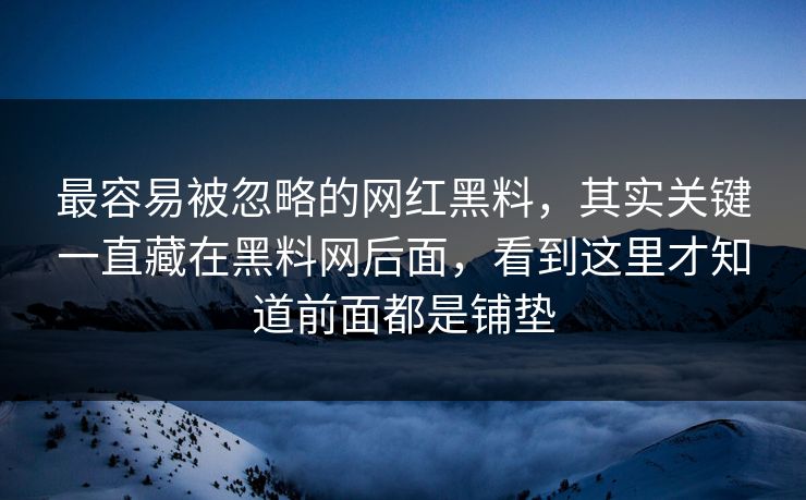 最容易被忽略的网红黑料，其实关键一直藏在黑料网后面，看到这里才知道前面都是铺垫