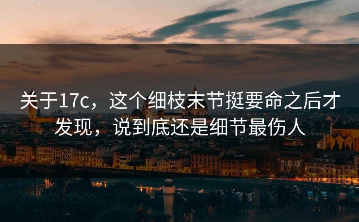 关于17c，这个细枝末节挺要命之后才发现，说到底还是细节最伤人