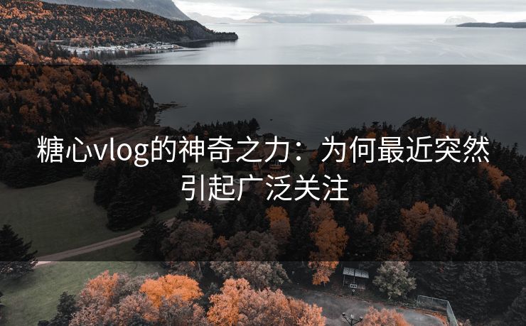 糖心vlog的神奇之力：为何最近突然引起广泛关注
