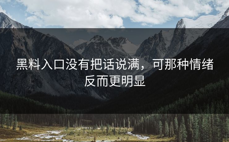 黑料入口没有把话说满，可那种情绪反而更明显