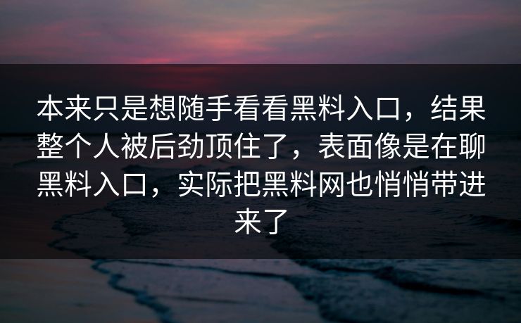 本来只是想随手看看黑料入口，结果整个人被后劲顶住了，表面像是在聊黑料入口，实际把黑料网也悄悄带进来了
