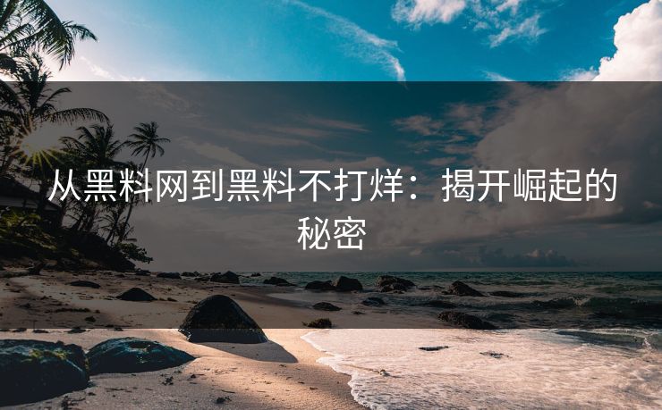 从黑料网到黑料不打烊：揭开崛起的秘密