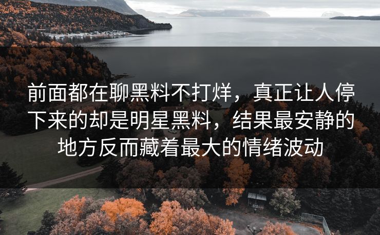 前面都在聊黑料不打烊，真正让人停下来的却是明星黑料，结果最安静的地方反而藏着最大的情绪波动