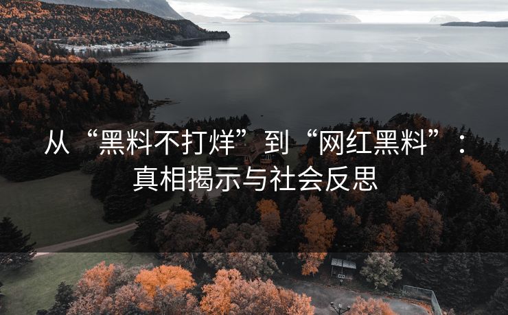 从“黑料不打烊”到“网红黑料”：真相揭示与社会反思
