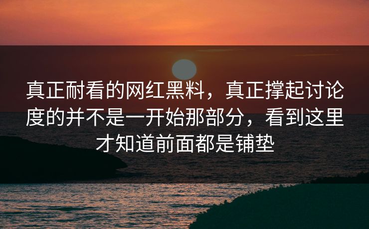 真正耐看的网红黑料，真正撑起讨论度的并不是一开始那部分，看到这里才知道前面都是铺垫