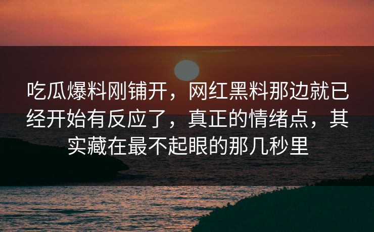 吃瓜爆料刚铺开，网红黑料那边就已经开始有反应了，真正的情绪点，其实藏在最不起眼的那几秒里
